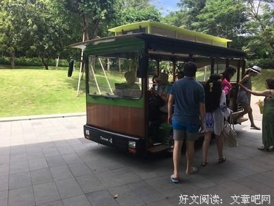 关于雅娜的语句