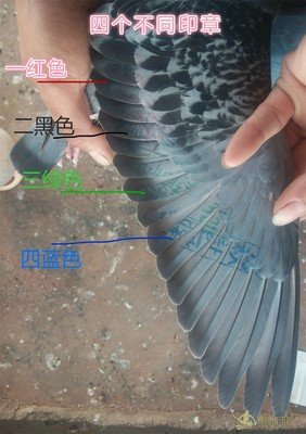 关于成强的名言