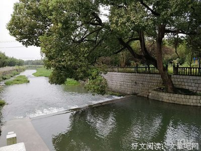 好的婚姻，都需要一些江湖义气