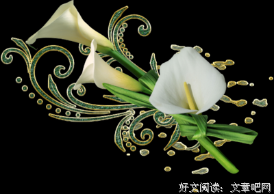 p大(๑〉؂〈๑）经典的句子