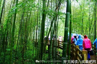 锦句的句子