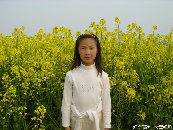 雨落长安的句子