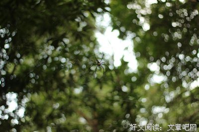 唐如酒名言大全