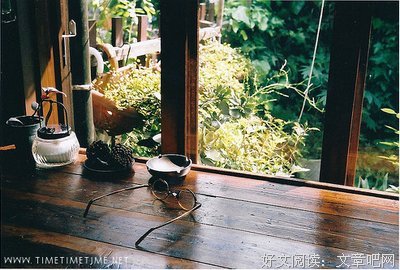 最新的《旅行记》经典语录