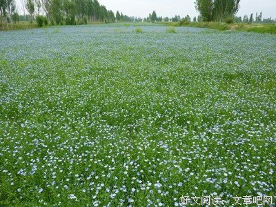 最新的《欢乐颂》语录摘抄