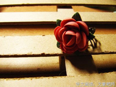 最经典的《红蔷薇》好段摘抄