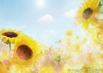 最新的《致青春》小说句子大全