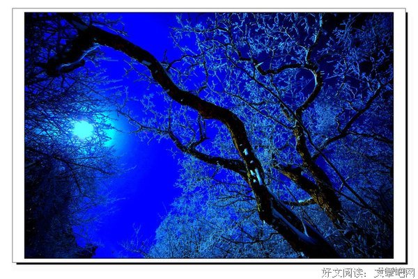 最新的《西江月》小说摘抄大全