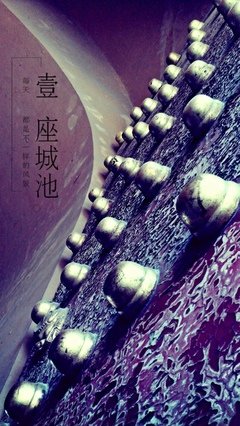 《一座城池》佳句摘抄大全