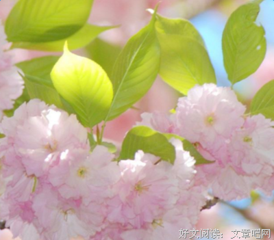 最新的《乡土中国》经典名句大全