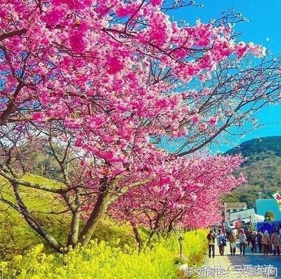 最全的《人间系列》经典的句子
