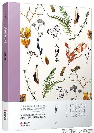 最新的《人间草木》经典语录大全