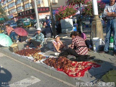 关于陈清的格言