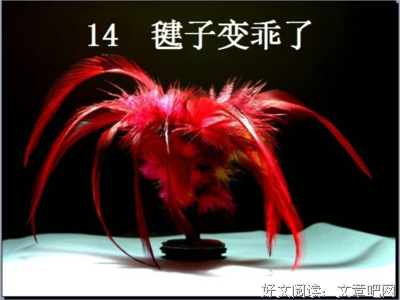 关于大乖的语句