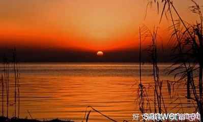 生活的句子