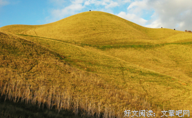 《景看旧》的句子