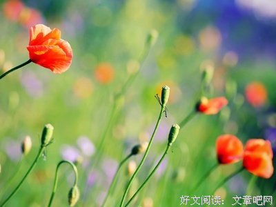 许我么十后自你看经典的句子