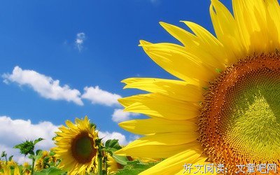 关于张小娴名言大全