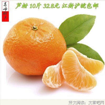关于桔子树名言