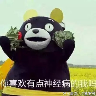 梦溪石的名言