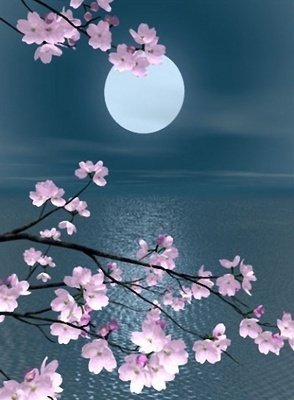 最全的张若虚的名言