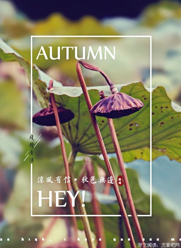 最新的《凉风有信》经典的句子