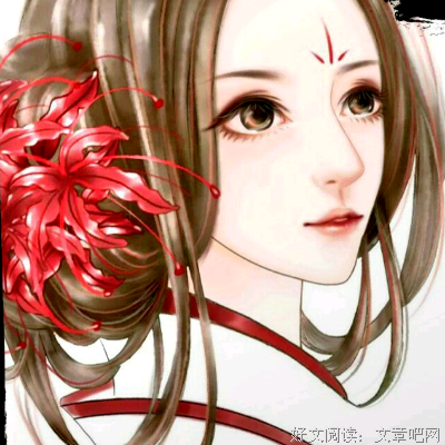 最经典的《凤倾天阑》小说摘抄