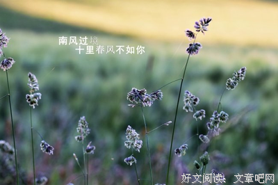 最经典的《南风过境》语录摘抄