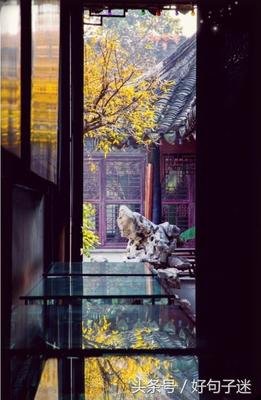 最全的《叶落无题》经典语录