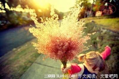 《向道而去》经典的句子