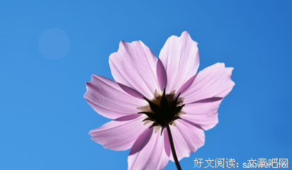 最经典的《哲学研究》经典句子