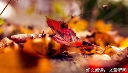 最新的《孔子家语》经典语句