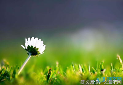 最新的《小小麦田》小说句子大全