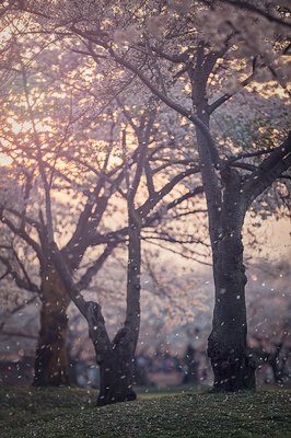 你要相信，没有到不了的明天