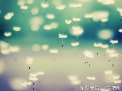 最经典的《心灵鸡汤》佳句摘抄