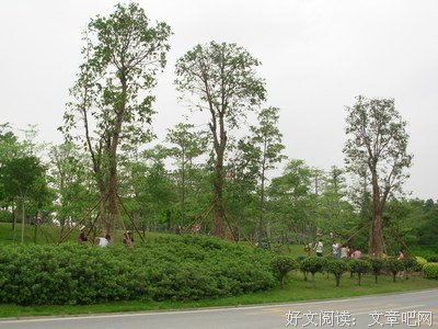 最新的《智慧奥秘》经典语句