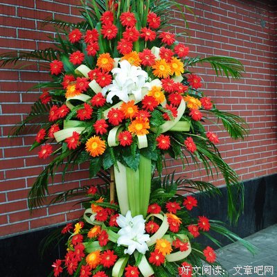 缘梦人生名句欣赏