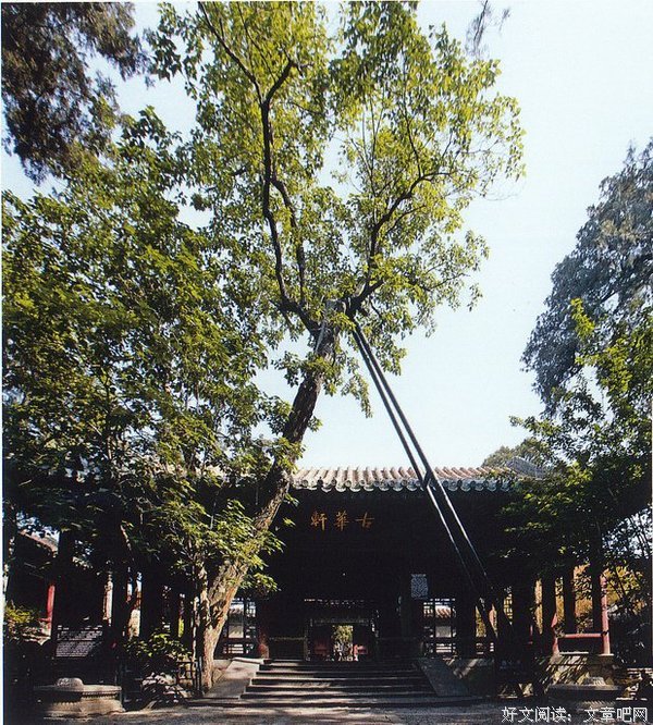 梵欣古殿句子大全