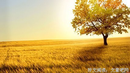 《成长》的句子