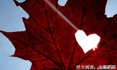 时如发向不情书的句子