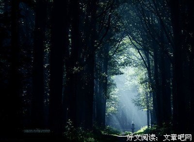 情经典的句子