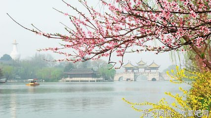 金国栋的名言