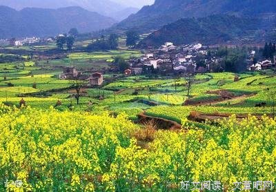 有关长宇宙经典句子