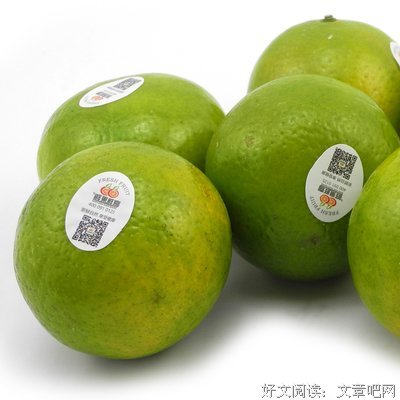最经典的《极品皇妃》名句欣赏大全