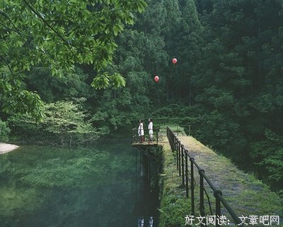 《橘生淮南》小说摘抄