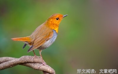 《水不暖月》佳句摘抄