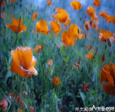 《病隙碎笔》经典语录大全