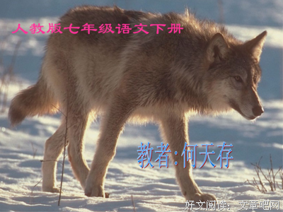 最全的《聊斋志异》经典句子大全