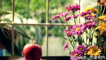 最新的《自决之书》美文摘抄