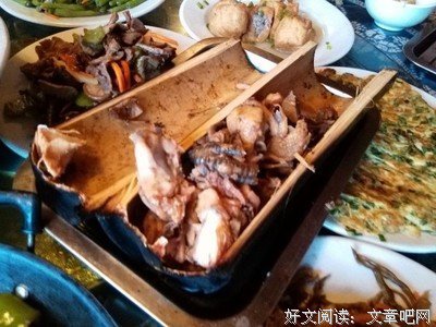 《至此终年》经典句子